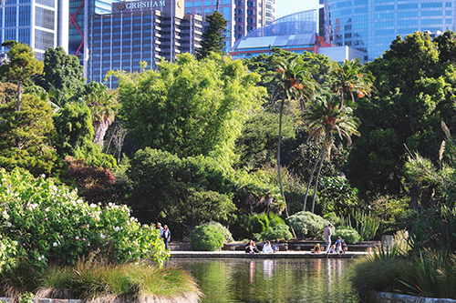 Royal Botanic Garden